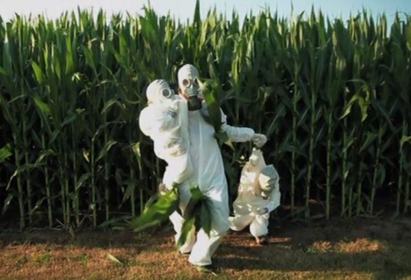 ▲GMO의 해독에 대해 교육시키기 위해 방독면을 쓰고 옥수수밭에 들어간 아버지와 아들.(다큐멘터리 ‘GMO OMG’)