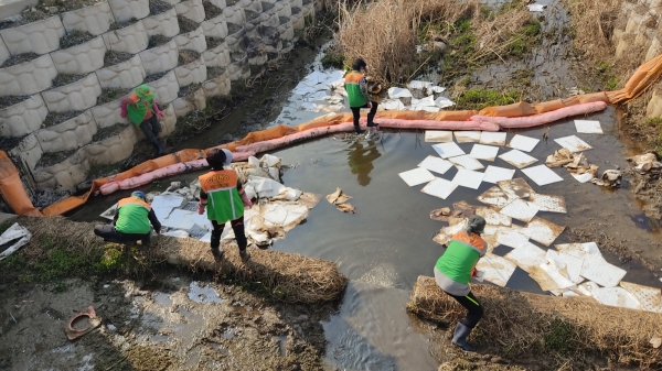 ▲자율방재단원들의 마명천으로 유입된 기름 제거작업 모습