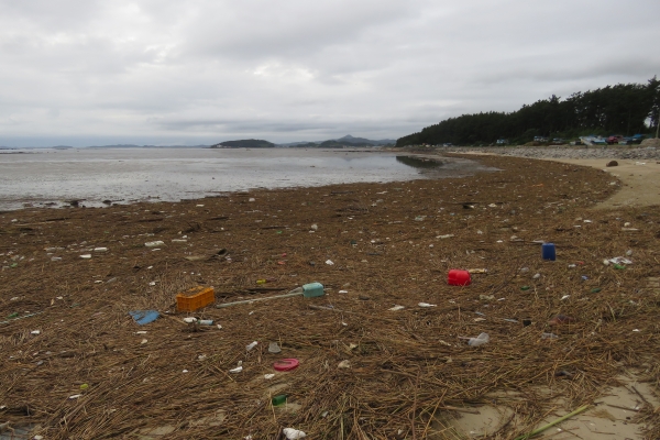 ▲21일 송석리 해변에 밀려온 쓰레기