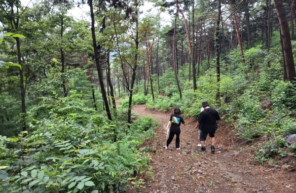 ▲도만리 이동백소릿길