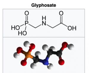 ■ 기획 연재/바로 알고 바로 먹자 (1)제초제 주성분 글리포세이트